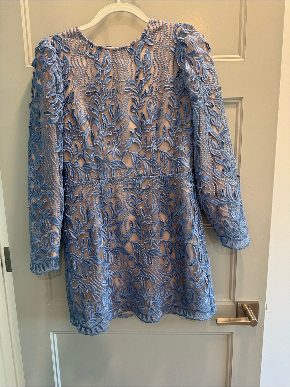 Vici Blue Lace Mini Dress with Sheer Embroidery - Picture 2 of 3